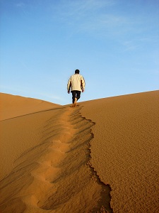 Hike in the Desert