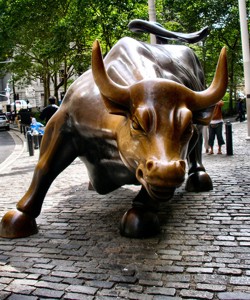 Stock Market Bull